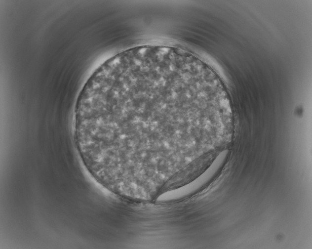 X0000116791095201001291513