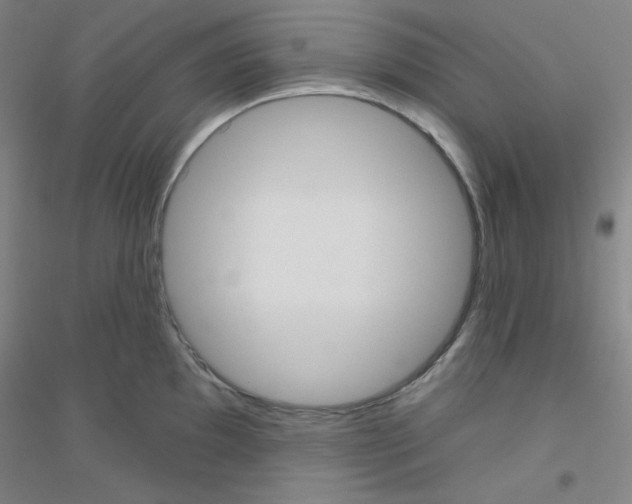 X0000116791097201001291513