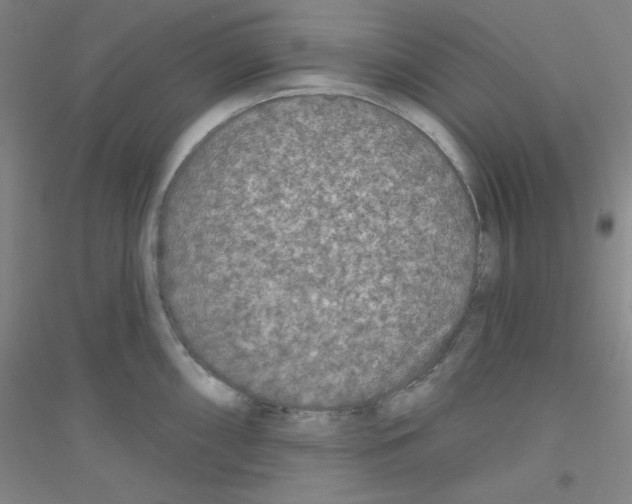 X0000116791098201001291513