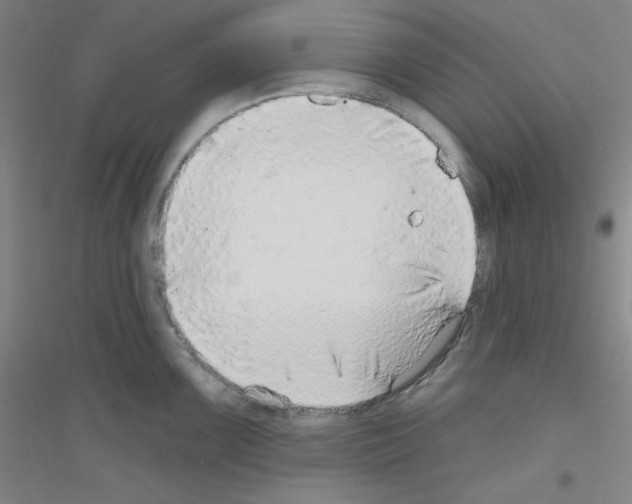 X0000116791099201001291513
