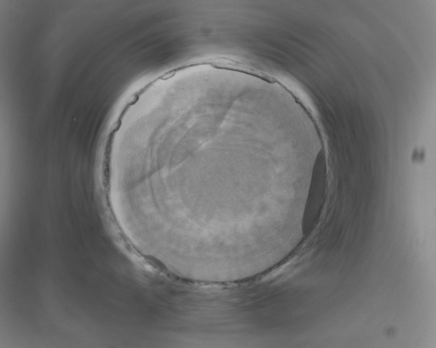 X0000116791104201001291513