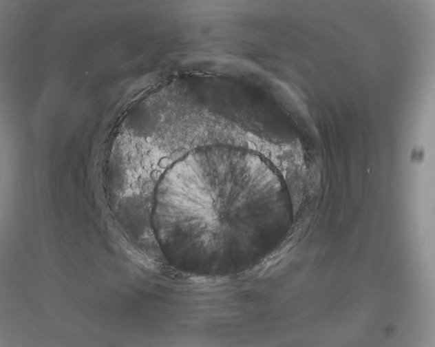 X0000116791105201001291513