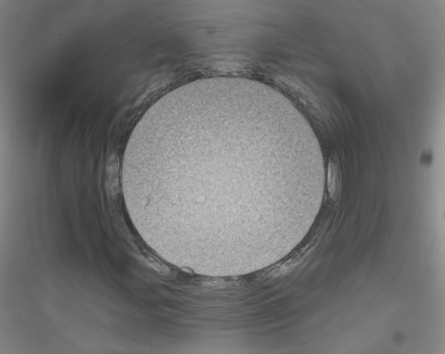 X0000116791107201001291513