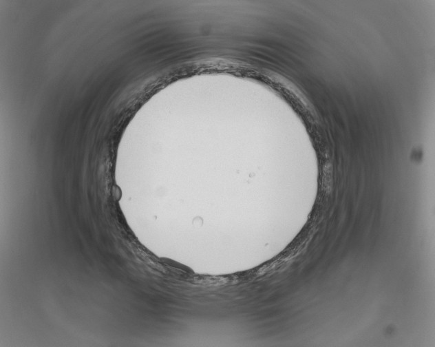 X0000116791111201001291513