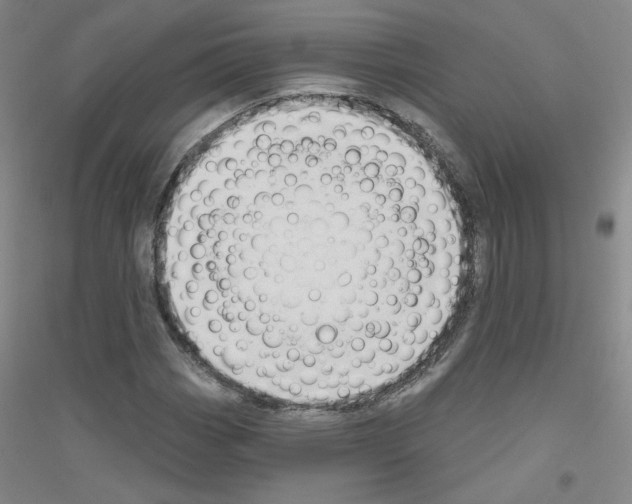 X0000116791113201001291513