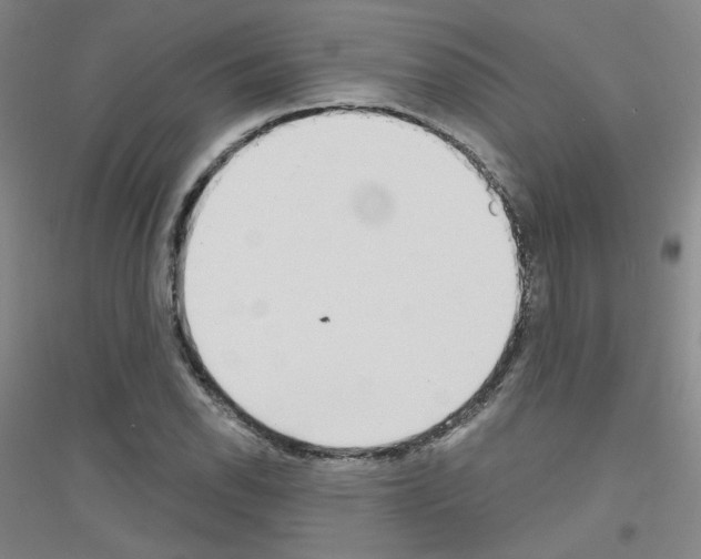 X0000116791118201001291513