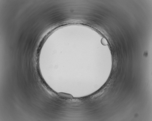 X0000116791119201001291513