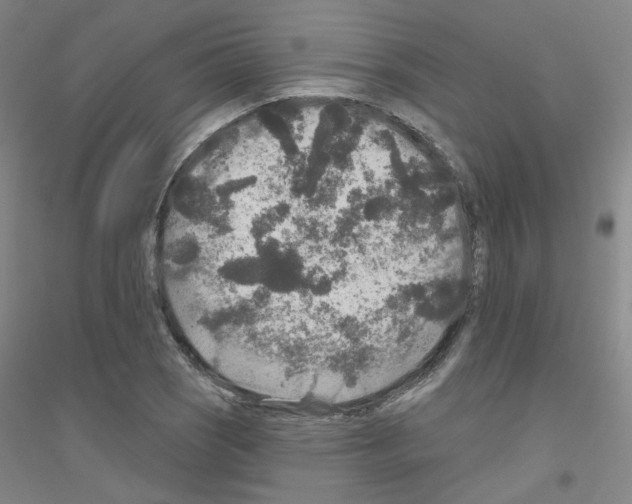X0000116791121201001291513