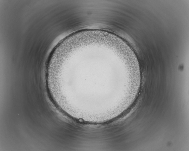 X0000116791122201001291513