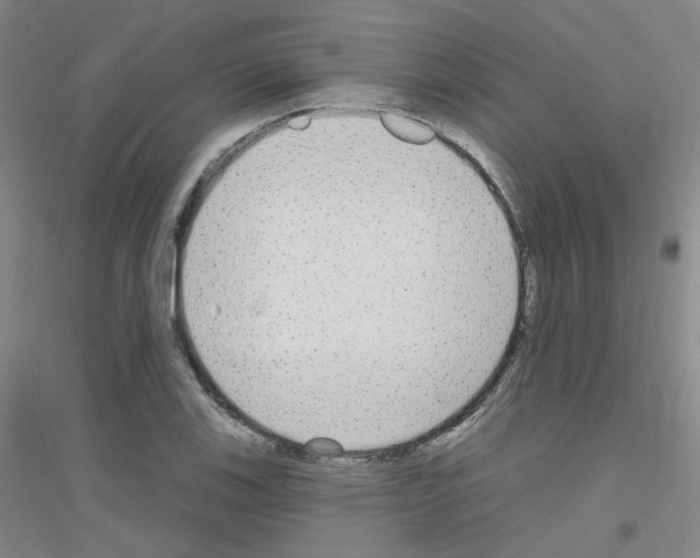 X0000116791123201001291513