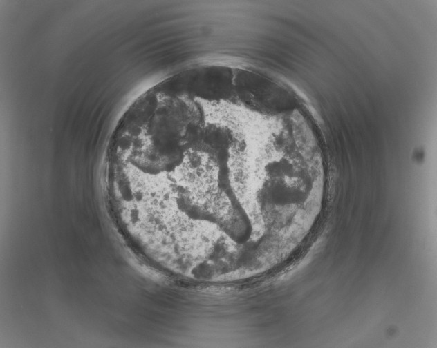 X0000116791125201001291513