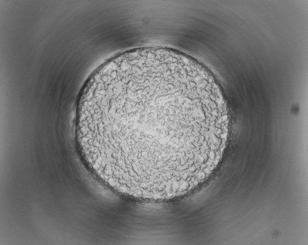 X0000116791126201001291513