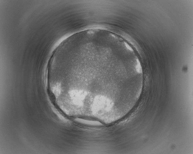 X0000116791127201001291513