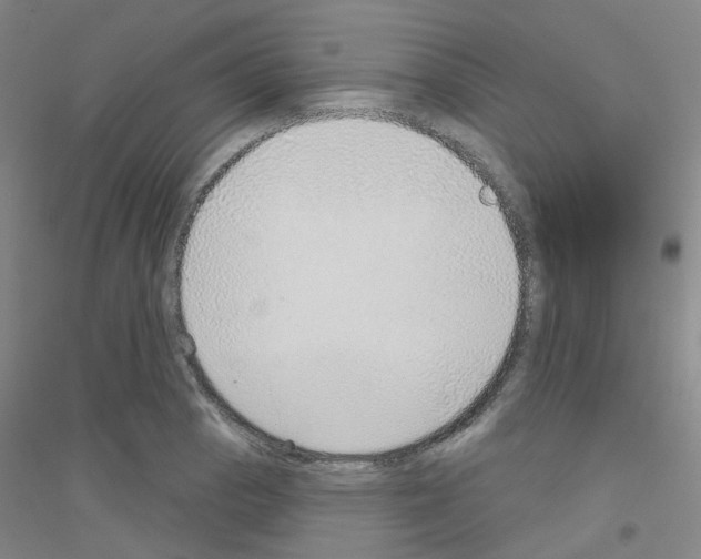 X0000116791129201001291513