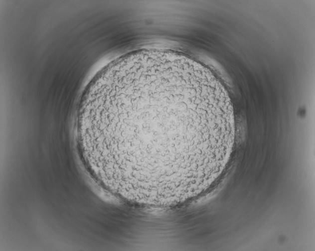 X0000116791130201001291513