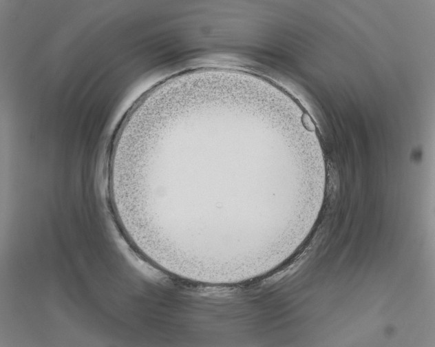 X0000116791131201001291513