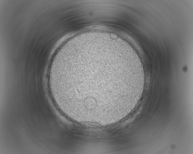 X0000116791133201001291513