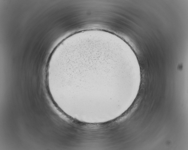 X0000116791134201001291513