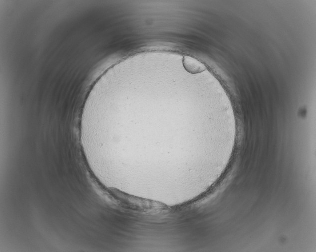 X0000116791137201001291513
