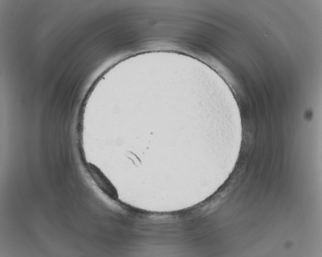 X0000116791142201001291513