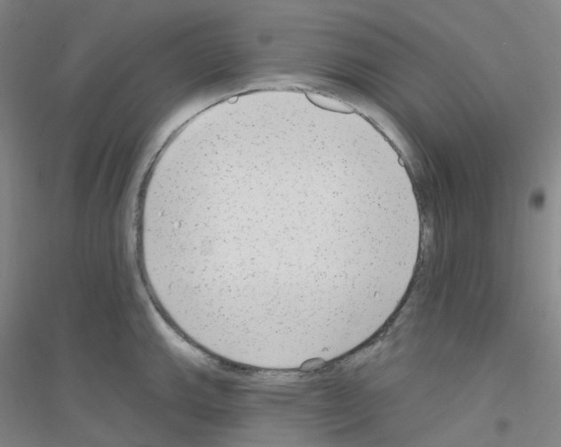X0000116791143201001291513