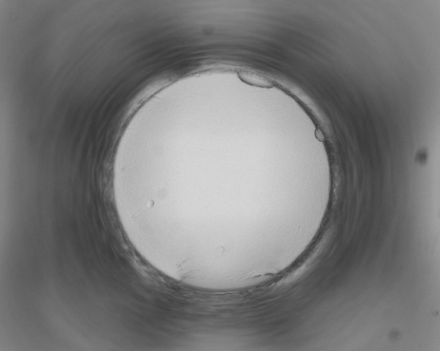 X0000116791145201001291513