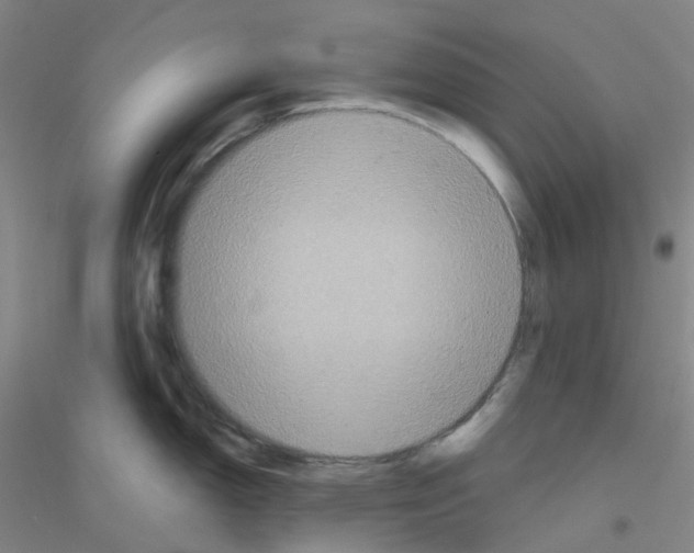 X0000116791150201001291513