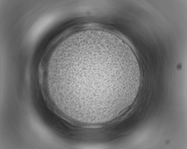 X0000116791151201001291513