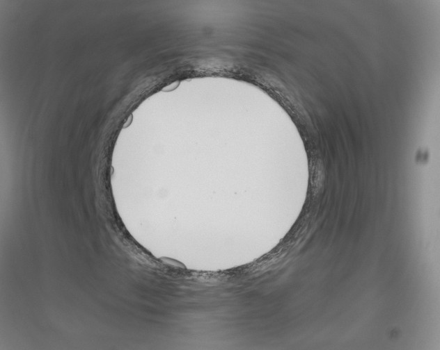 X0000116791153201001291513