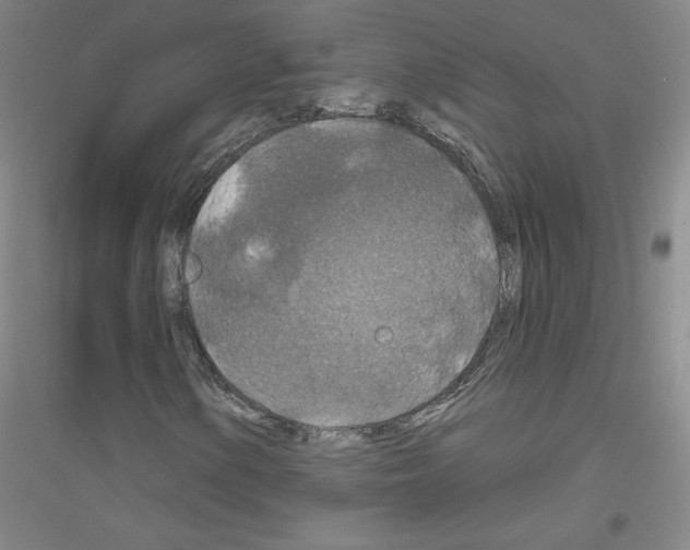 X0000116791154201001291513