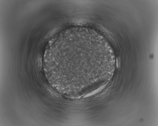 X0000116791155201001291513