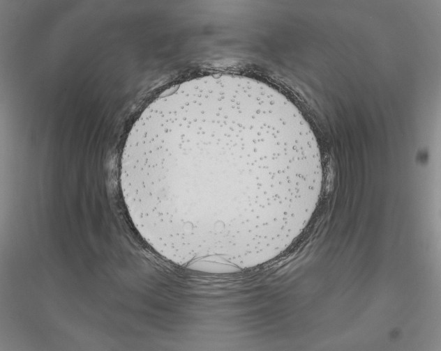 X0000116791156201001291513