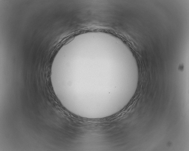 X0000116791157201001291513