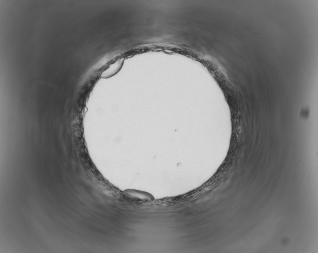 X0000116791159201001291513
