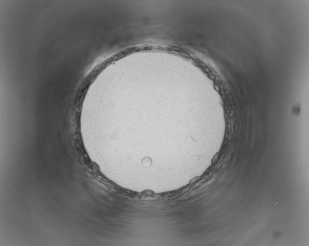 X0000116791160201001291513