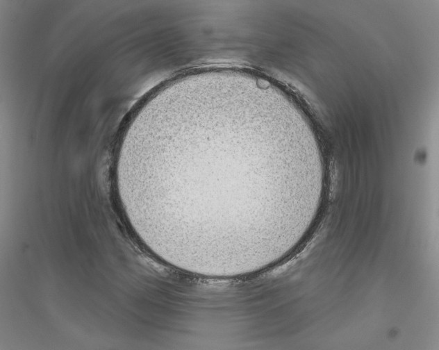 X0000116791162201001291513