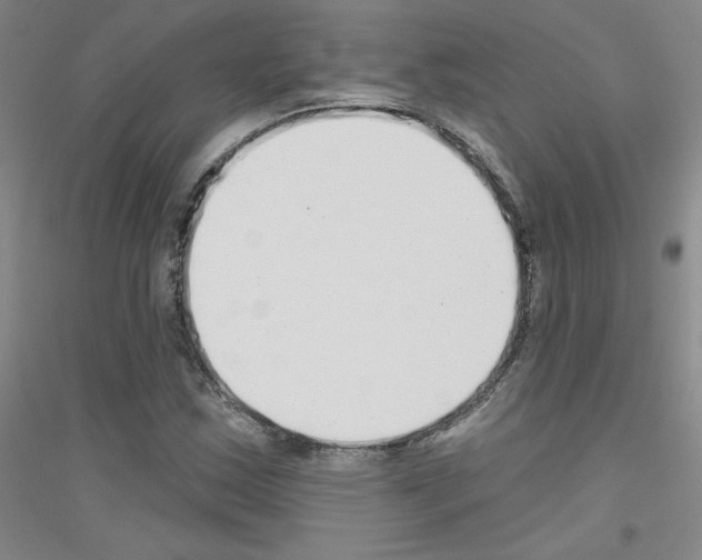 X0000116791163201001291512