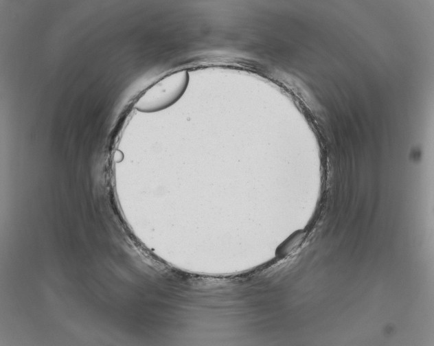 X0000116791164201001291512
