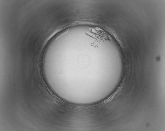 X0000116791165201001291512