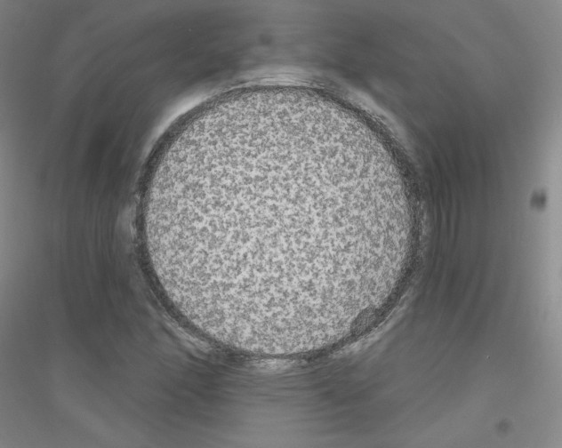 X0000116791166201001291512