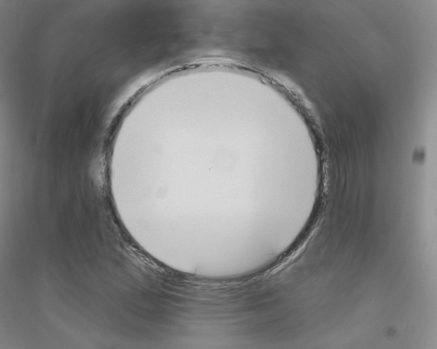 X0000116791167201001291512