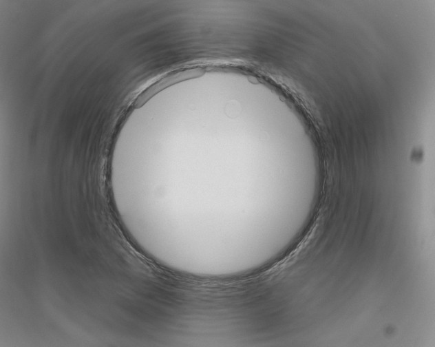 X0000116791169201001291512