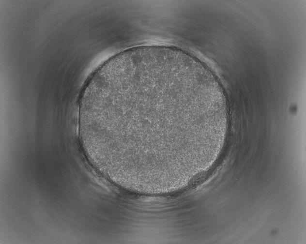 X0000116791171201001291512