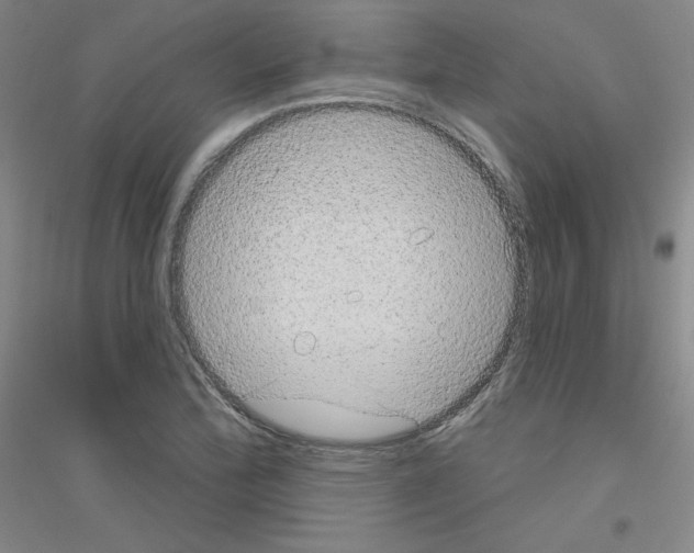 X0000116791172201001291512