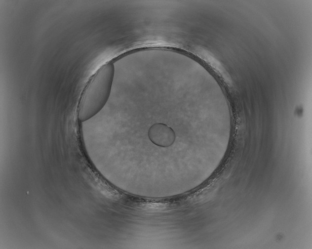 X0000116791173201001291512