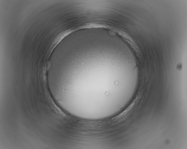 X0000116791177201001291512