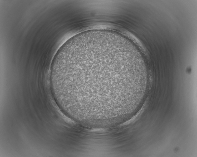 X0000116791178201001291512