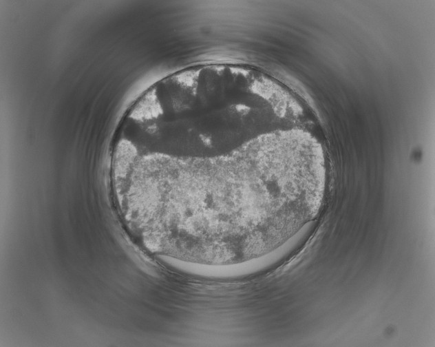 X0000116791179201001291512