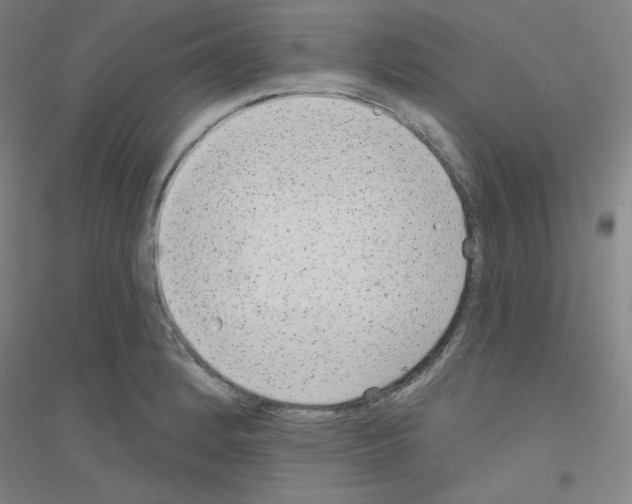X0000116791184201001291512