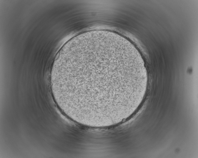 X0000116791185201001291512